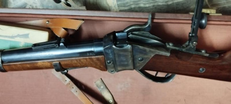 Vendo rifle Sharp de Pedersoli, muy poco uso, practicamente nuevo. Calibre 45/70. Dos turquesas (100 mt. 31