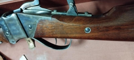 Vendo rifle Sharp de Pedersoli, muy poco uso, practicamente nuevo. Calibre 45/70. Dos turquesas (100 mt. 41