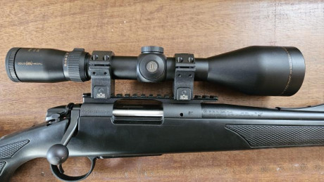 Esta completo. Alza, punto de mira, rail weaver,  monturas apel blue line. Mas mira shilba gold medal 00