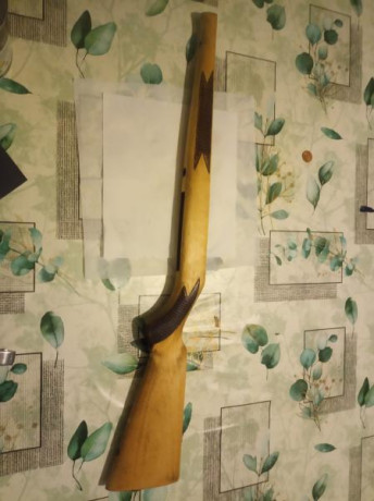 Buenos días tiradores,

Hace poco me hice con una Winchester Wildcat calibre 22LR que incluía un cargador 10