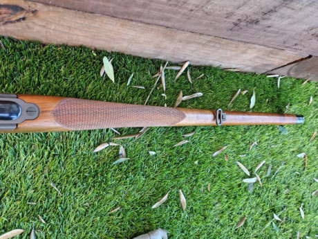  Buenas tardes

Pongo en venta un Steyr Mannlicher Luxus Stutzen en calibre 270W.

* Cañón de 20"
* 102