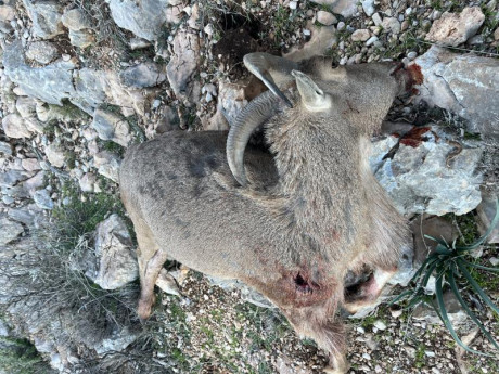 Buenas a todos!
Recientemente me he animado con el famoso 308W
De momento estoy encantado con él, he contratado 140