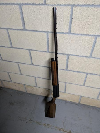 Se vende escopeta semiautomática FN Auto5, modelo Pluma, calibre 20 en muy buen estado de uso. La escopeta 02