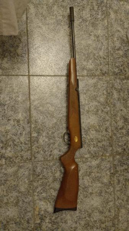 Hola pongo a la venta está carabina rara de ver y comercializada por el corte inglés,la boomerang del 02