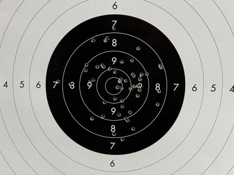 Hola amigos, desde hace algun tiempo vengo notando que la munición CCI del .22 da muchísimos problemas, 170