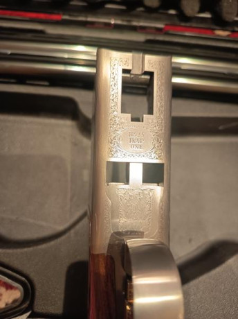 •	Calibre 12
•	Cañones de 81 cm.
•	Banda de 13 mm
•	Anima 18,7
•	Cuatro Chokes originales (4,3,2,1, estrellas)
•	Gatillo 10