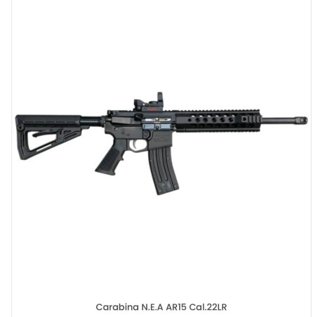 Hola, un amigo está buscando una carabina del .22lr tipo ar15, y ha visto una marca n.e.a. no la había 00