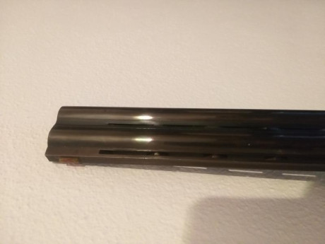 Buenas tardes a todos, por cese de afición pongo a la venta la totalidad de mis armas de fuego, intentaré 32