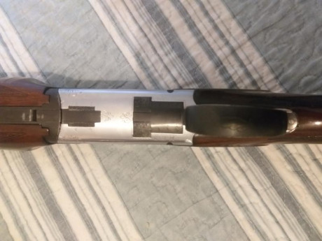 Buenas tardes a todos, por cese de afición pongo a la venta la totalidad de mis armas de fuego, intentaré 42