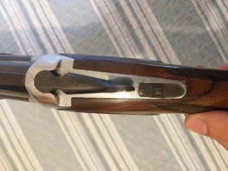 Buenas tardes a todos, por cese de afición pongo a la venta la totalidad de mis armas de fuego, intentaré 40