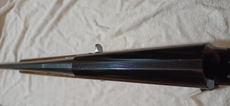 Buenas tardes a todos, por cese de afición pongo a la venta la totalidad de mis armas de fuego, intentaré 41