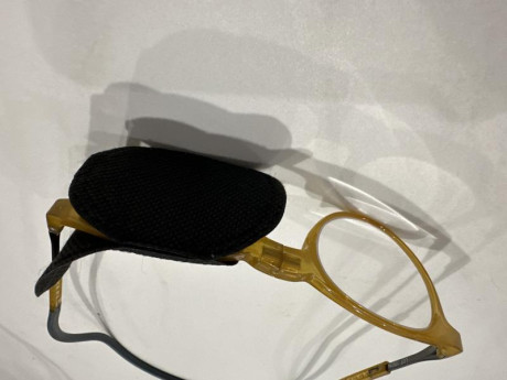 Se ha hablado ya algo de esto pero, como hacéis para tirar cuando no ves bien el alza y el punto de mira? 20