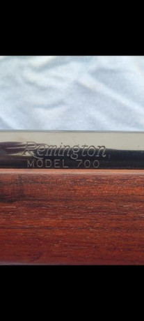 Un compañero de caza vende un rifle Remington modelo 700 en calibre 7mm. Remington Mágnum con visor de 02