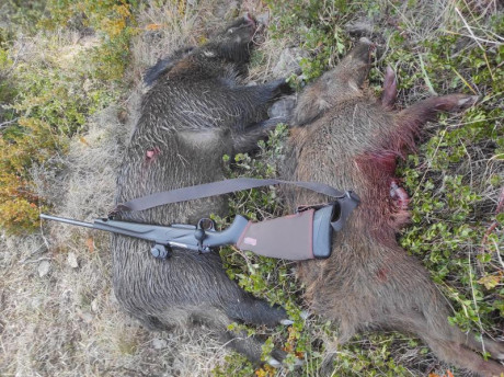 Buenas tardes, próximamente me haré con Franchi Horizon en calibre 308, aún viniendo con certificado de 30