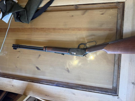 Se vende palanquero winchester 9422 xtr cal22lr
En estado impecable sin uso  
Se encuentre en Alicante 02