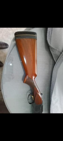 Vendo B25 con cañón de 71 cm, 3* de primero y 2* de segundo. No lleva banda. Esta en muy buen estado. 21