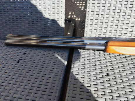  Saludos a todos / as.

No tengo mas fotos, tampoco sé los chokes que lleva ni el número de disparos.

La 02