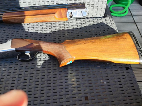  Saludos a todos / as.

No tengo mas fotos, tampoco sé los chokes que lleva ni el número de disparos.

La 00