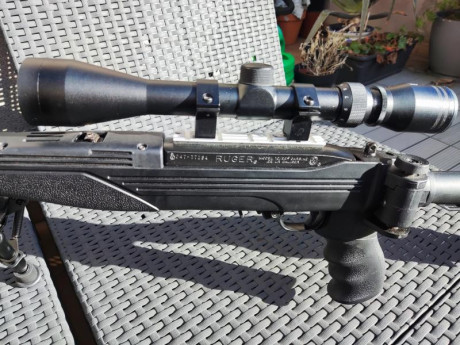 Saludos a todos / as.

Vendo una Ruger 10/22 customizada, con culata retráctil y plegable, visor Nikko 01