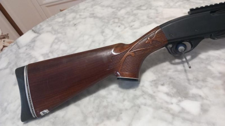 En muy buen estado, con cargador original y cargador adicional de 10 balas. Carril picatiny. Está en provincia 01