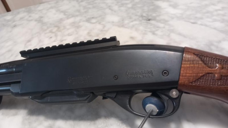 En muy buen estado, con cargador original y cargador adicional de 10 balas. Carril picatiny. Está en provincia 22