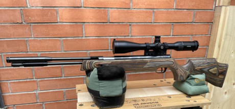 Vendo esta carabina en 4’5 con grip de Rowan 600€ puesta en casa . 71