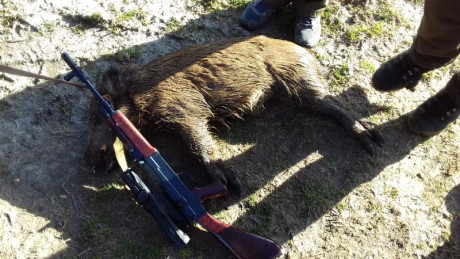 Muy buenas a todos.
Después de unas temporadas alejado del foro por problemas de salud, vuelvo al mismo, 01