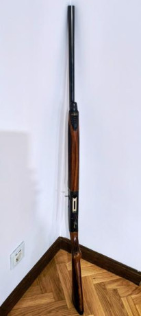 Escopeta semiautomática Beretta Urika 2 en excelente estado.
Cañón de 71 cm. Se entrega con maletín original 01