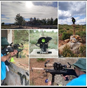 Vendo PCP Bull Pup Wheirauch HW100 BPK del 4,5mm.
Arma en perfecto estado de uso con tóricas revisadas 40