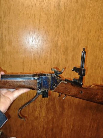 VENDO rifle ARMI CHIAPPA SHARPS 1874 en calibre 45-70 con diopter Pedersoli Goodwin Style y túnel.
El 00