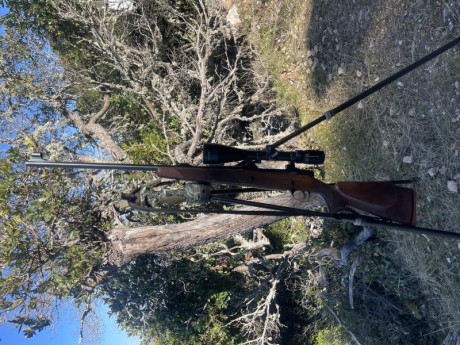 Se vende rifle sako 75. Calibre 7mm. Lleva bases y monturas apel desmontables e incorpora visor sutter 00