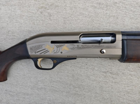 Vendo escopeta semiautomatica Franchi Grifone cal 12,
Pocos tiros, con su maletin. 550€ 02