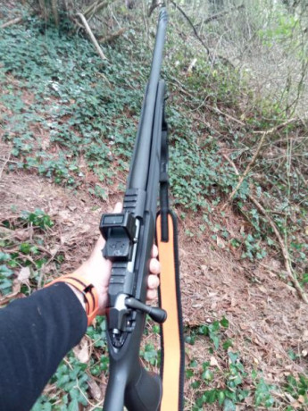 Buenas, haber si me podéis aclarar una duda, estoy pensando en comprarme un  rifle y he decidido montarle 70