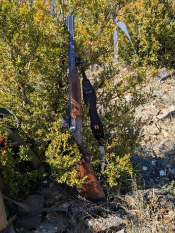 Se vende express superpuesto Brno modelo Súper calibre 7x65R. Expulsor. Dispone de lomo regulable en altura 150