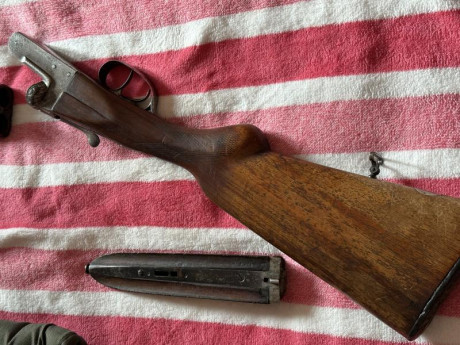 Buenas tardes a todos, me gustaría informarme de cómo tasar unas paralelas de caza, yo no soy cazador 01