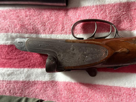 Buenas tardes a todos, me gustaría informarme de cómo tasar unas paralelas de caza, yo no soy cazador 11