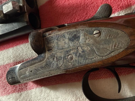 Buenas tardes a todos, me gustaría informarme de cómo tasar unas paralelas de caza, yo no soy cazador 22