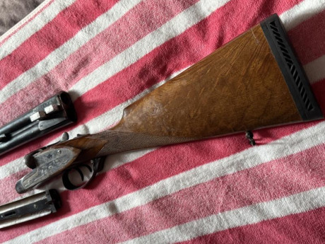 Buenas tardes a todos, me gustaría informarme de cómo tasar unas paralelas de caza, yo no soy cazador 21