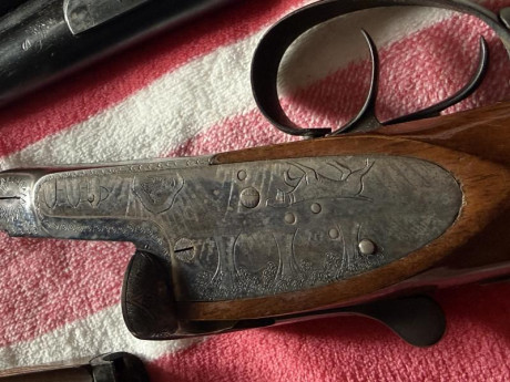 Buenas tardes a todos, me gustaría informarme de cómo tasar unas paralelas de caza, yo no soy cazador 20