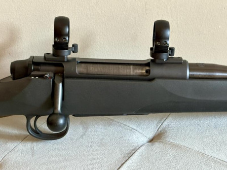 Buenos días. Por exceso de armas, vendo rifle con las monturas y las anillas listas para montar un visor 02