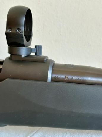 Buenos días. Por exceso de armas, vendo rifle con las monturas y las anillas listas para montar un visor 00