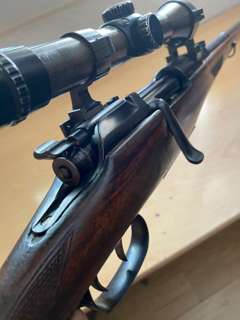 Mannlicher Schoenauer 

Queridos amigos, vamos a hacer un censo de estos magníficos rifles, con fotos 90