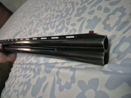 OJO – LEER BIEN 

 80€ !!!!! 

Pongo a la venta esta escopeta superpuesta AZHUR EIBAR, IMPORTANTE: AVERIADA 02