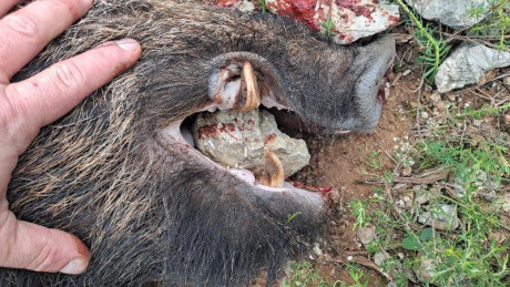 Seguramente algunos ya habréis visto muchos de estos vídeos, pero he querido hacer una antología.
Para 92