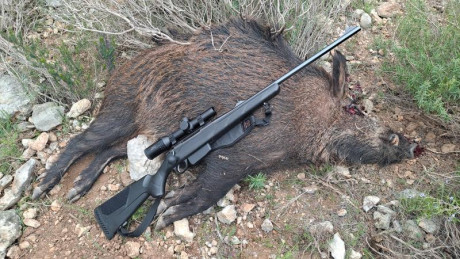 Seguramente algunos ya habréis visto muchos de estos vídeos, pero he querido hacer una antología.
Para 91