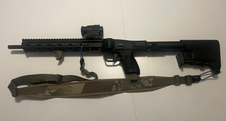 Se vende carabina S&W MP FPC en 9mm. 

Se incluyen dos cargadores de 10 balas de capacidad cada uno 11