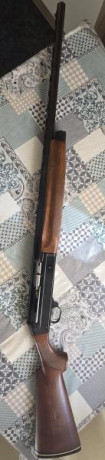 Vendo escopeta benelli121 en perfecto estado 
 Cañon de 71 cm,3 estrellas fijas. 
La escopeta se encuentra 02