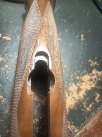 De tiro y de caza

(Precios para las que quedan: Desde 150€ y hasta 190€)

Culatas actualmente disponibles 110