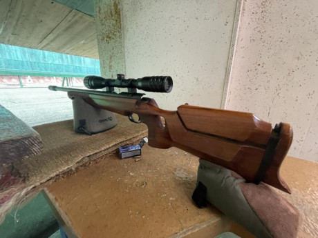 Hola, os presento mi nuevo juguete, WHALTER 22LR de 1974 especial para la modalidad “LAUFENDE SCHEIBE” 01