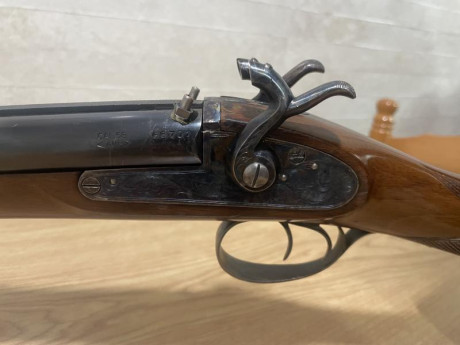 Rifle Express calibre 58 Marca A.M.R. recientemente puesto a punto en armería + turquesa. 
Lo cambiaría 01